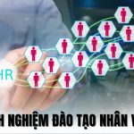 Kinh Nghiệm Đào Tạo Nhân Viên Hiệu Quả Mà Doanh Nghiệp Nên Biết
