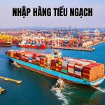 Xuất Nhập Khẩu Tiểu Ngạch Là Gì? Ưu Nhược Điểm Và Lưu Ý Cần Biết