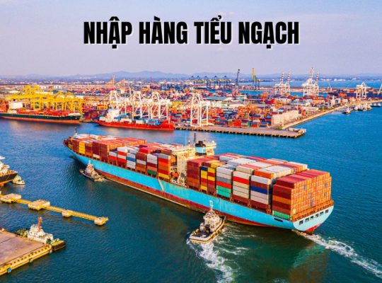 tiểu ngạch là gì