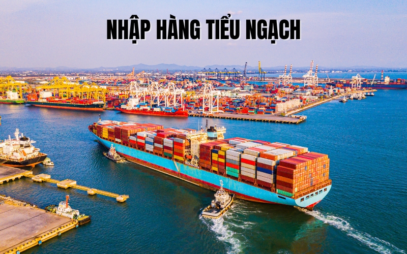 tiểu ngạch là gì
