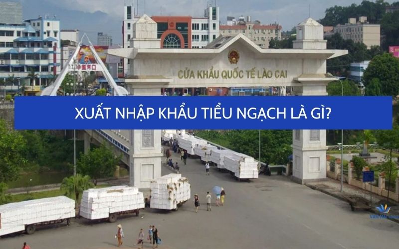 xuất nhập khẩu tiểu ngạch là gì