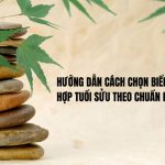 Hướng Dẫn Cách Chọn Biển Số Xe Hợp Tuổi Sửu Theo Chuẩn Phong Thủy