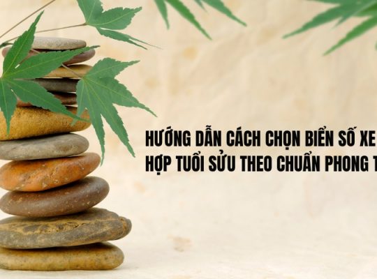 biển số xe hợp tuổi sửu