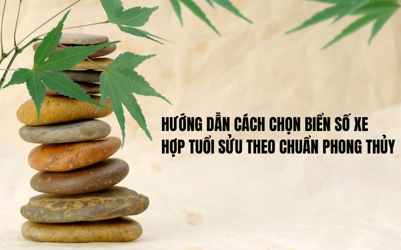 biển số xe hợp tuổi sửu