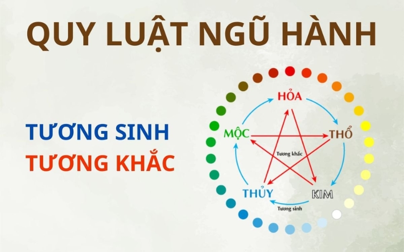 Dựa theo quy luật ngũ hành