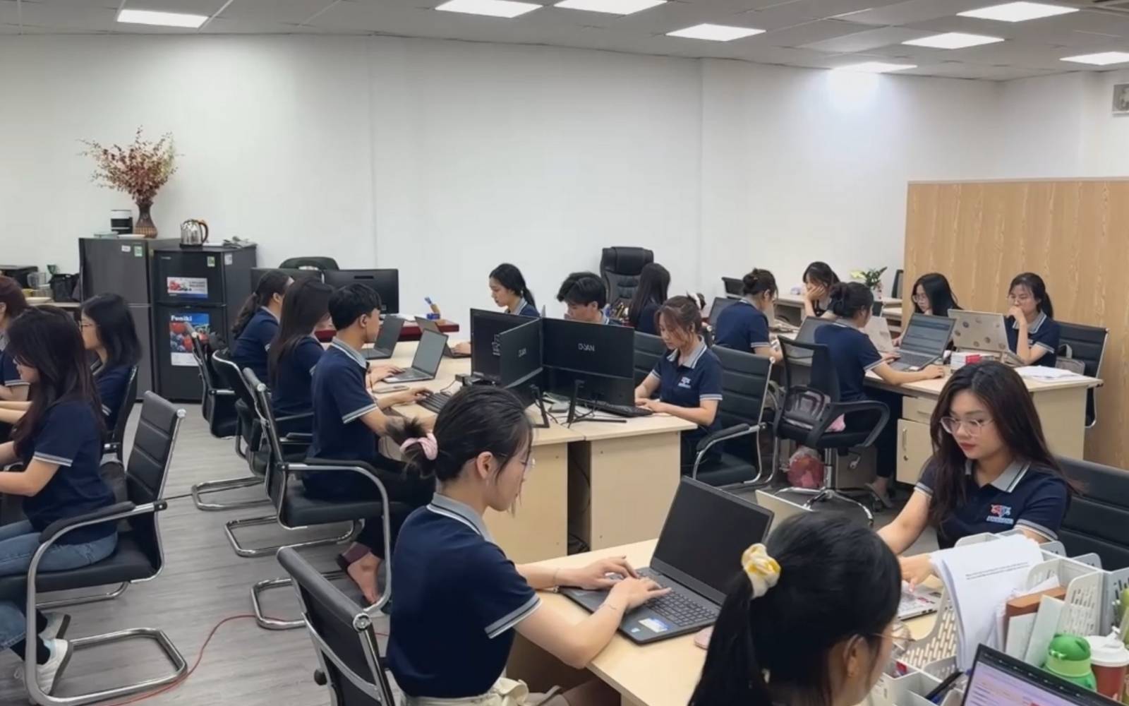 Kinh nghiệm và chuyên môn